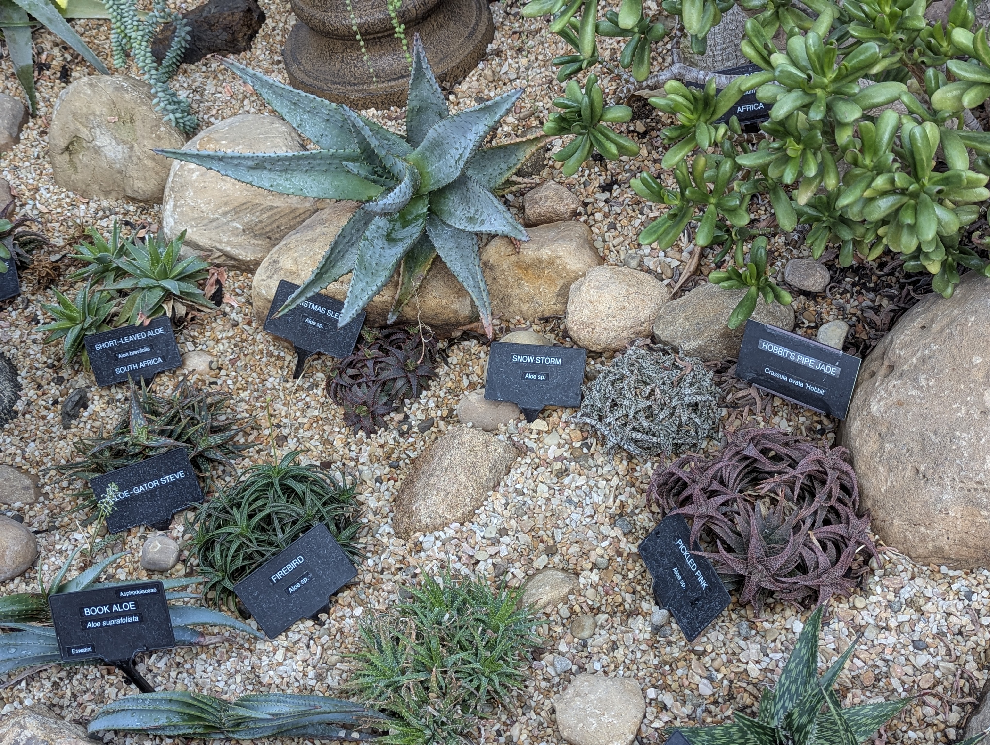 Birthday Trip to Canada, Edmonton, Pyramids, Muttart Observatory